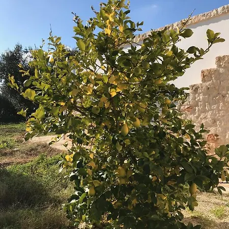Villa Villa
